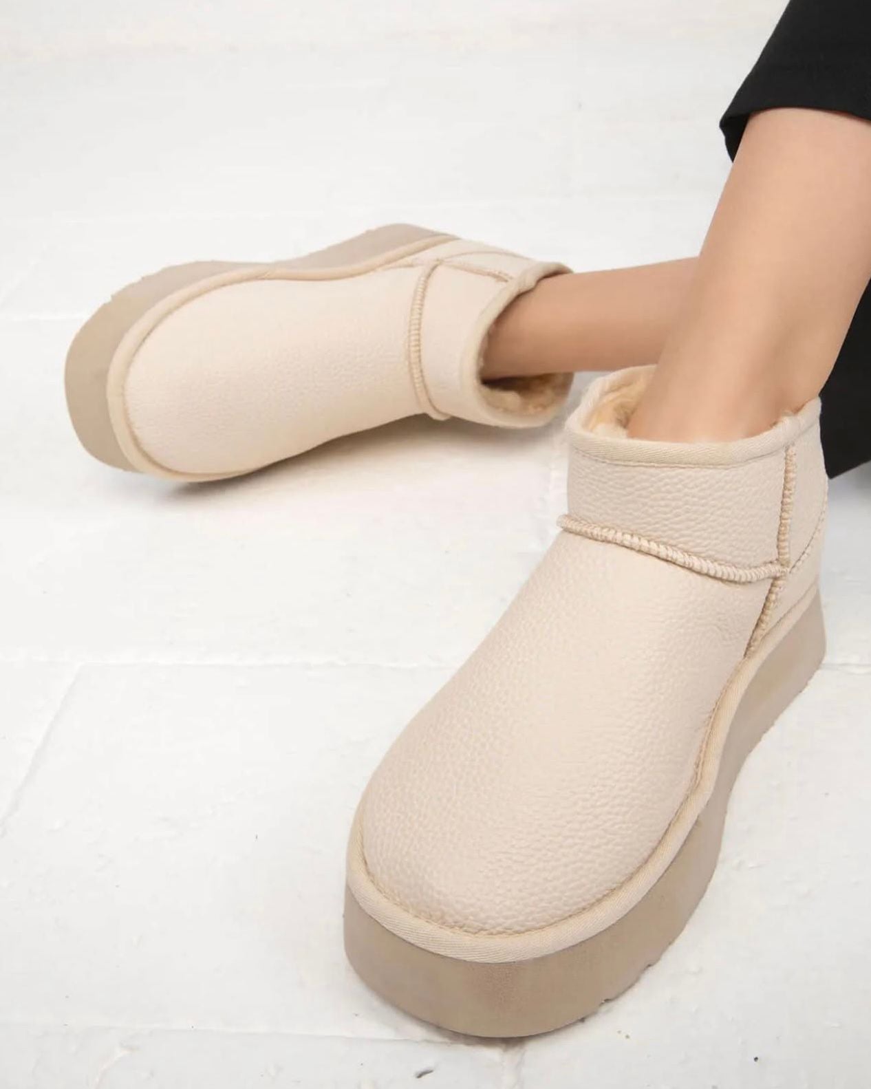 BOTA IVY
