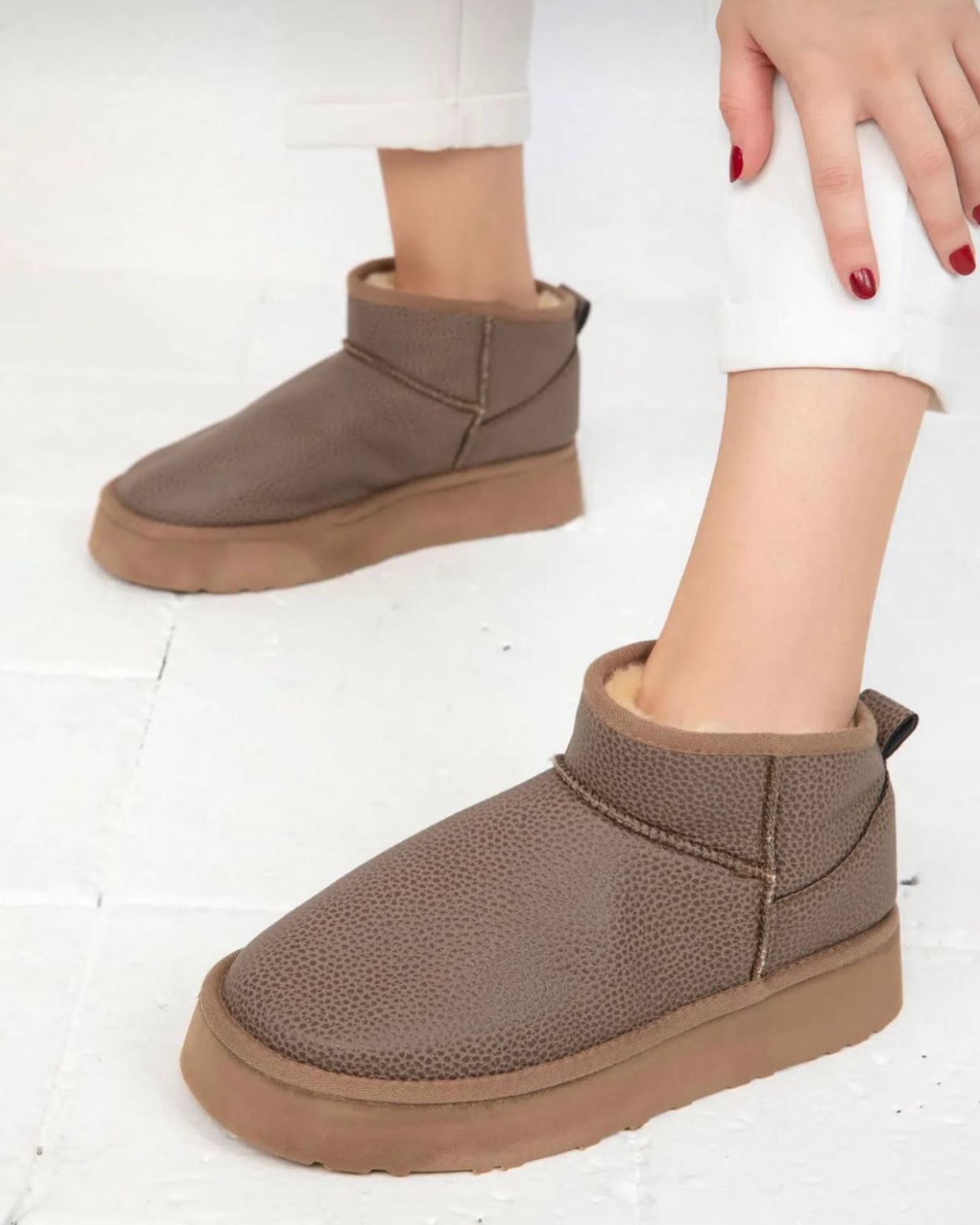 BOTA IVY