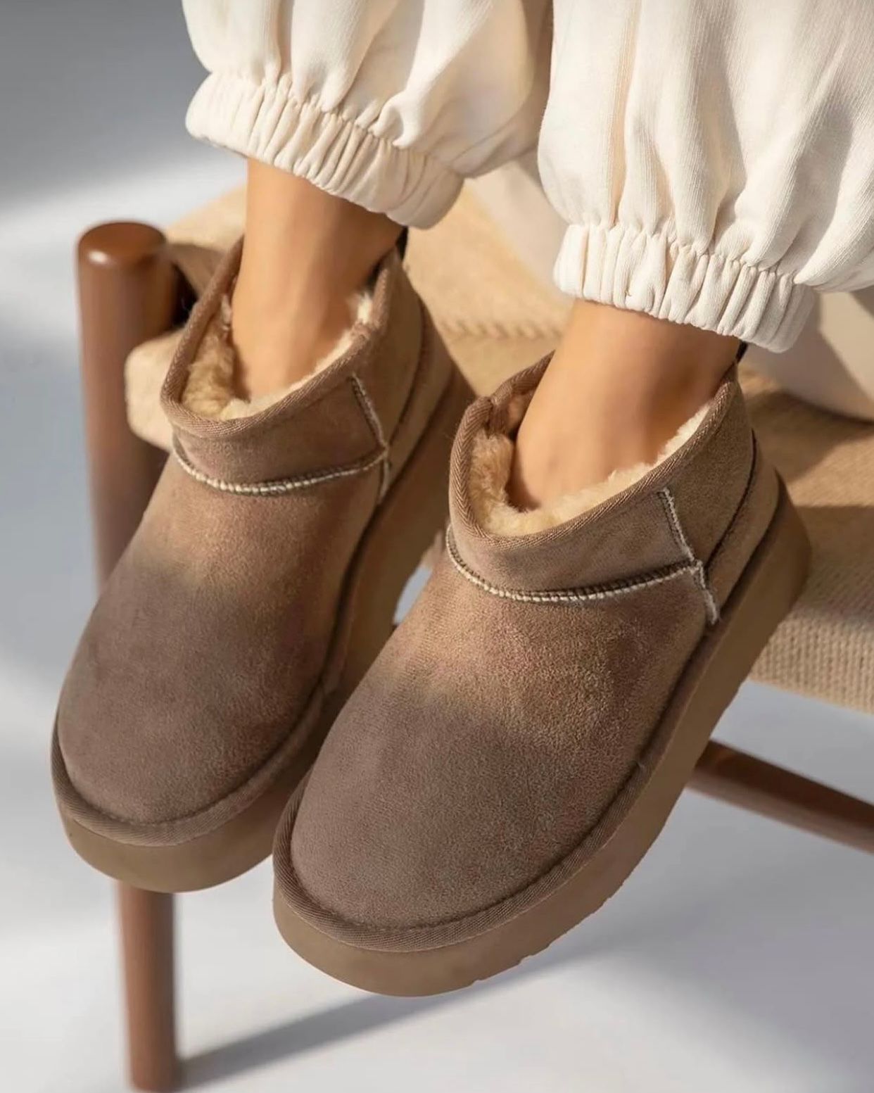 BOTA IVY