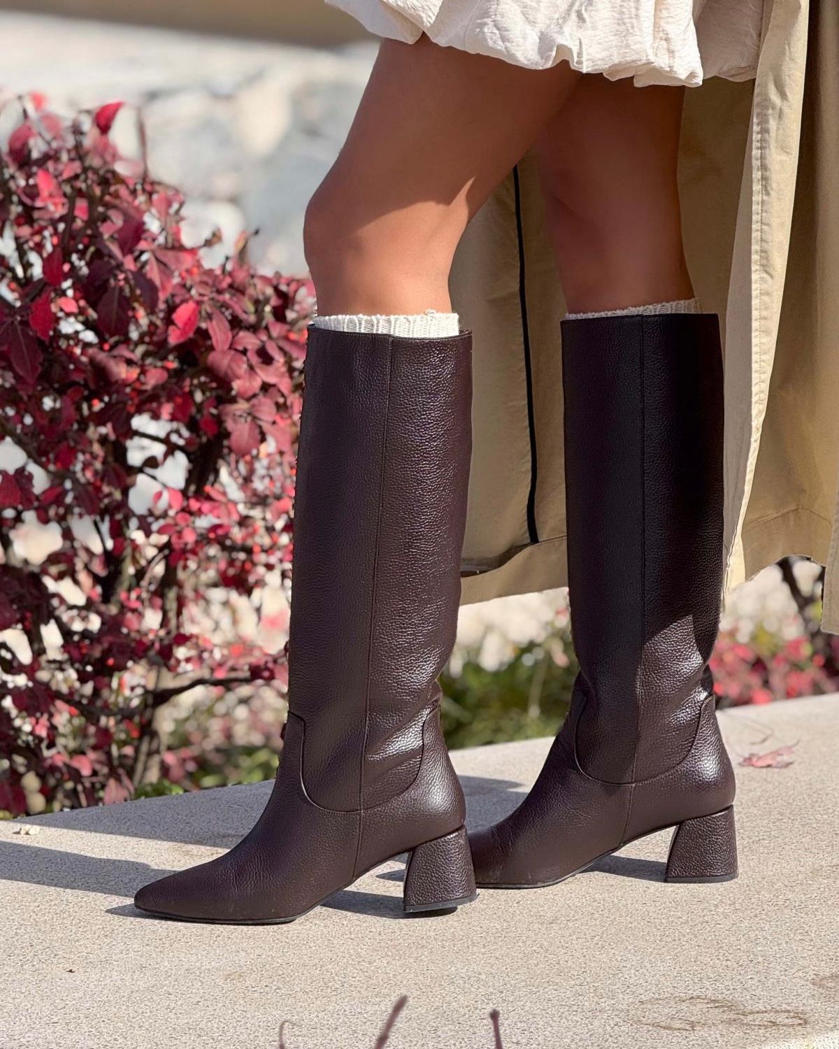 BOTA ARISHA