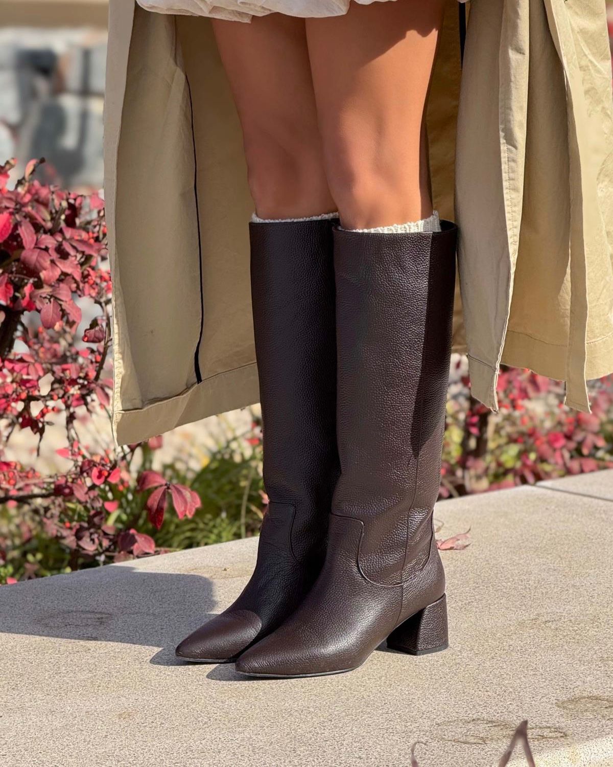 BOTA ARISHA